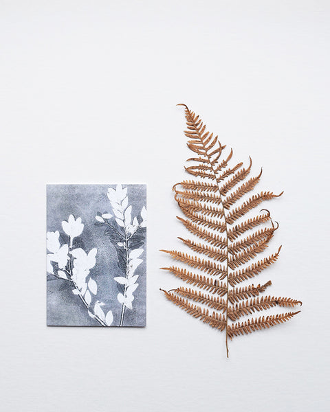 ‘Midnight Garden III’ by heraldBLACK is a greeting card featuring one of the original monoprints from the 'Midnight Garden' range.