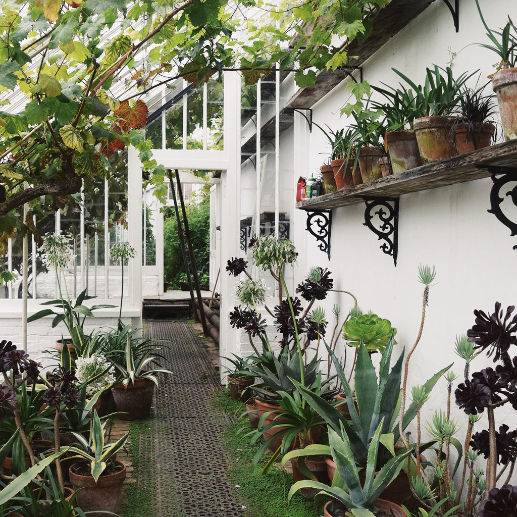 Finding Myself in the Lost Gardens of Heligan