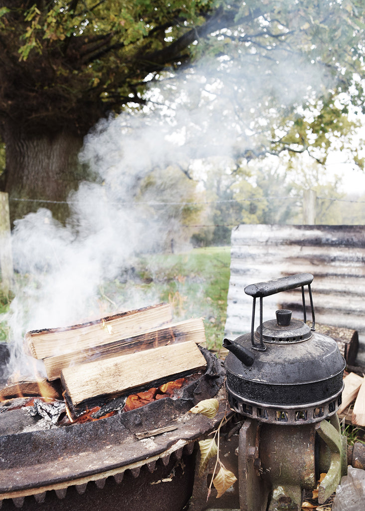 Natural Christmas Decorations and Our Trip to Wild Sussex