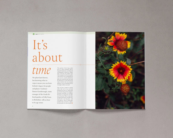 Open pages from Bloom Issue Eleven featuring colourful flowers and a feature on garden longevity