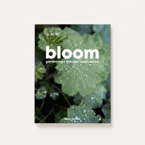 Bloom Issue Eleven gardening and nature magazine with dewy green leaves