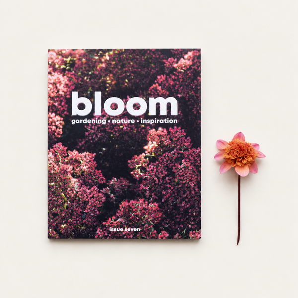 Bloom Issue Seven gardening and nature magazine with pink flowers