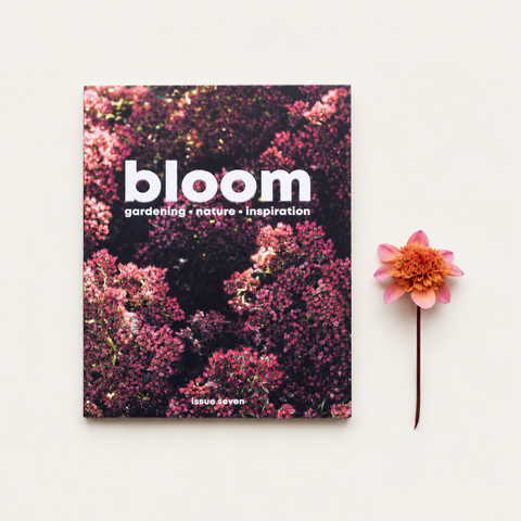 Bloom Issue Seven gardening and nature magazine with pink flowers