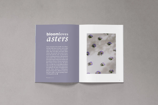 Open pages from Bloom Issue Thirteen featuring asters and autumn flowers