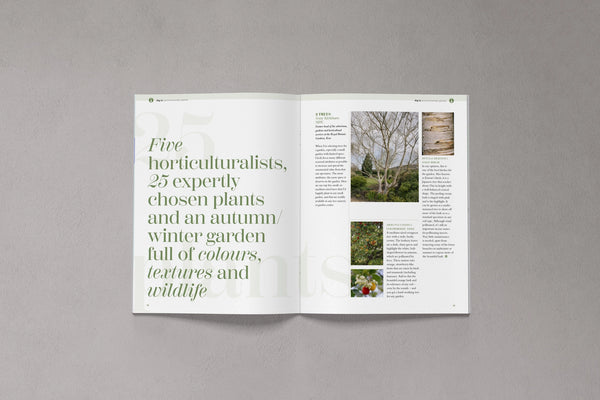 Open pages from Bloom Issue Thirteen featuring plants chosen for an autumn and winter garden