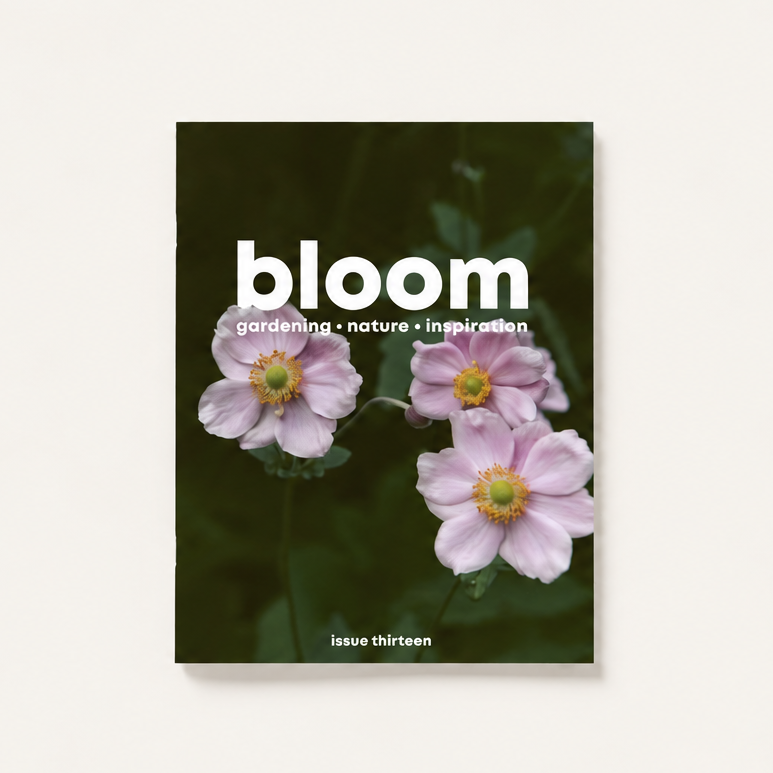 Bloom Issue Thirteen gardening and nature magazine with pink Japanese anemone flowers