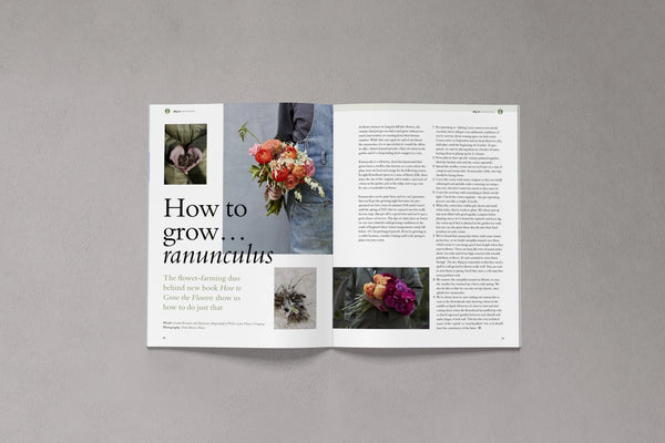 Open pages from Bloom Issue Thirteen featuring a guide to growing ranunculus and seasonal flowers
