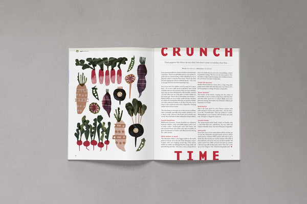 Open pages from Bloom Issue Thirteen featuring illustrated radishes and a guide to growing different varieties