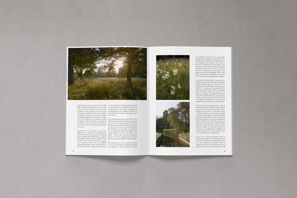 Open pages from Bloom Issue Thirteen featuring a wildflower meadow and natural landscape