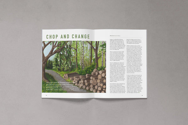 Open pages from Bloom Issue Thirteen featuring an illustrated woodland scene and an article about sustainable woodland management