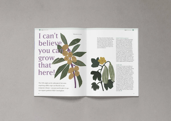 Open pages from Bloom Issue Twelve featuring illustrated edible plants and unusual fruit to grow in the UK