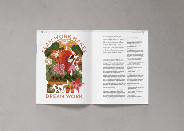 Open pages from Bloom Issue Twelve featuring biodynamic garden remedies and plant-based preparations