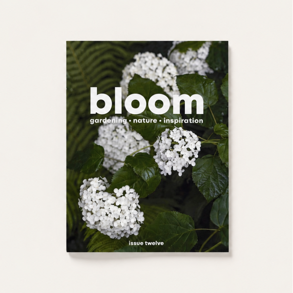 Bloom Issue Twelve gardening and nature magazine with white hydrangea flowers