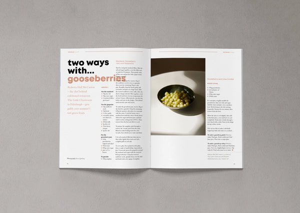 Open pages from Bloom Issue Twelve featuring gooseberry recipes and a gooseberry and lime cordial