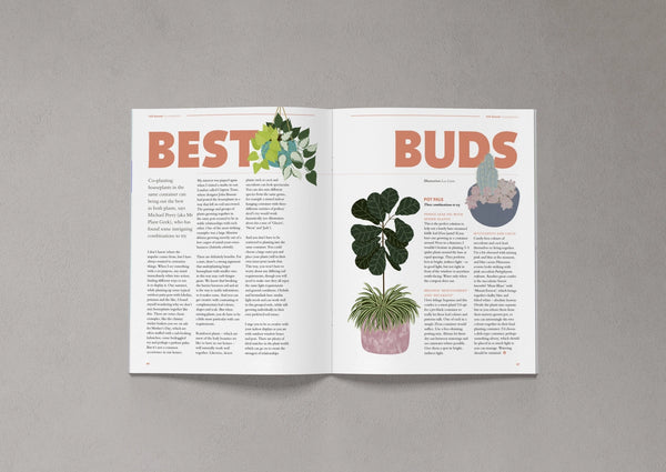 Open pages from Bloom Issue Twelve featuring houseplant combinations and illustrated indoor plants