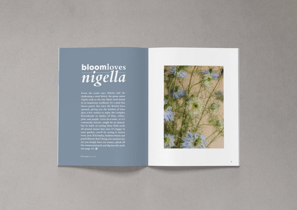 Open pages from Bloom Issue Twelve featuring Nigella flowers and seed pods