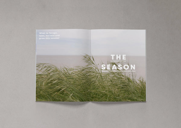 Open pages from Bloom Issue Twelve featuring summer grasses and seasonal foraging