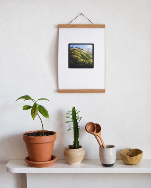 Devil's Dyke South Downs fine art print displayed on a wall with plants and handmade