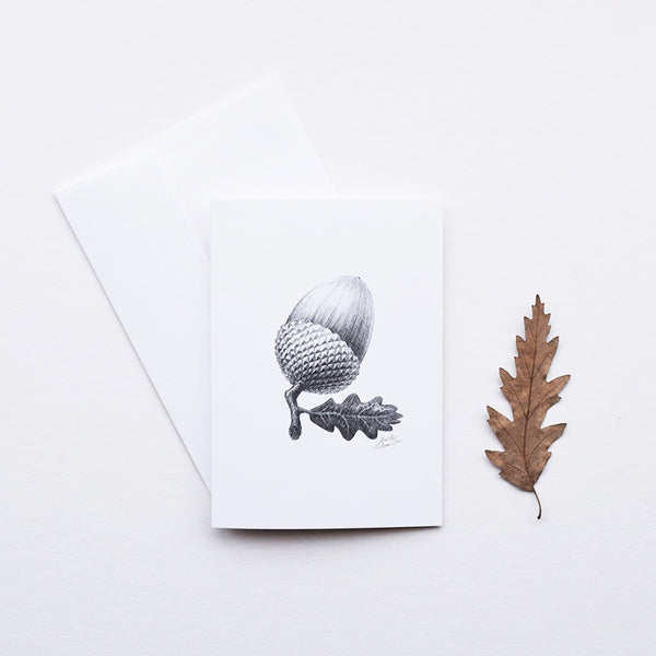 'Acorn' greeting card, designed and printed in the UK, features one of the original pencil drawings from the 'Technature' range by Malcolm Trollope Davis.