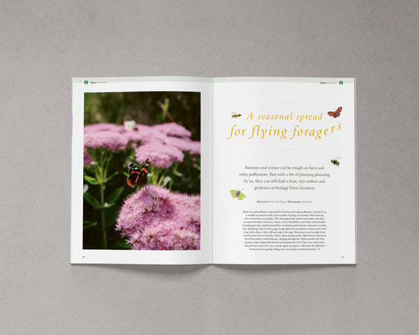 Bloom Magazine issue 10, a magazine full of practical advice, thought-provoking stories about nature and a celebration of all things green.