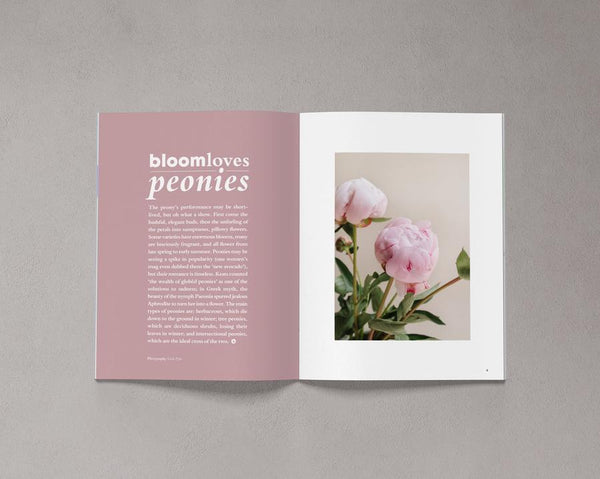 Bloom is a magazine for gardeners, plant admirers, nature lovers, curious explorers and outdoor adventurers. Issue 8 available from Lewes Map Store. Free gift-wrapping and shipped using eco-friendly packaging.