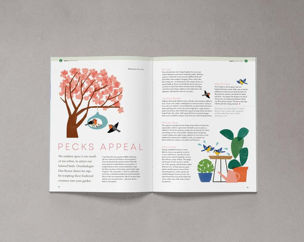 Bloom is a magazine for gardeners, plant admirers, nature lovers, curious explorers and outdoor adventurers. Issue 8 available from Lewes Map Store. Free gift-wrapping and shipped using eco-friendly packaging.