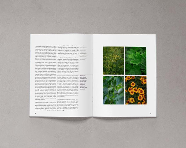 Bloom is a magazine for gardeners, plant admirers, nature lovers, curious explorers and outdoor adventurers. Issue 8 available from Lewes Map Store. Free gift-wrapping and shipped using eco-friendly packaging.