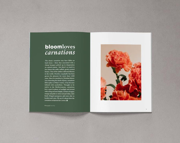Bloom is a magazine for gardeners, plant admirers, nature lovers, curious explorers and outdoor adventurers. Issue 9 is available from Lewes Map Store