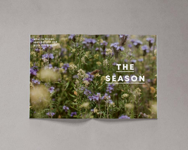 Bloom is a magazine for gardeners, plant admirers, nature lovers, curious explorers and outdoor adventurers. Issue 9 is available from Lewes Map Store.