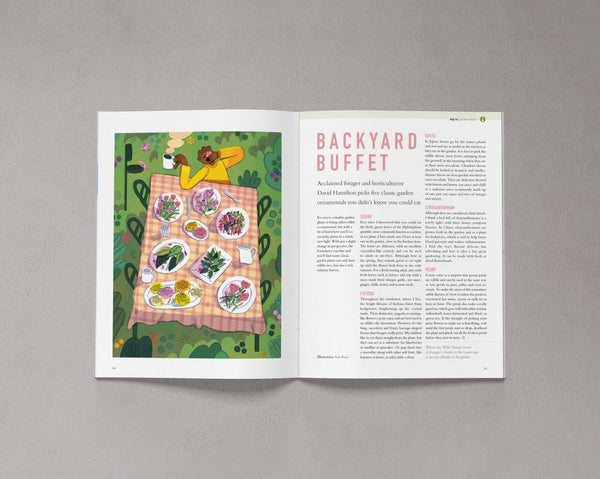 Bloom is a magazine for gardeners, plant admirers, nature lovers, curious explorers and outdoor adventurers. Issue 9 is available from Lewes Map Store.