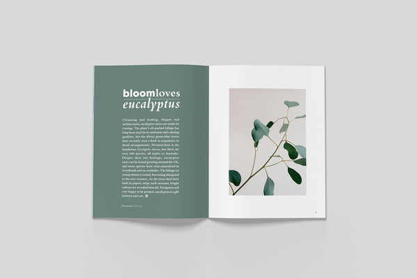 Open pages from Bloom Issue Seven featuring an eucalyptus plant and nature-inspired article