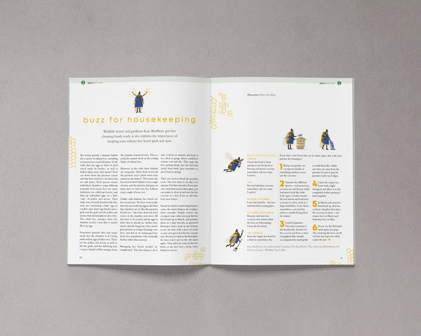 Bloom Magazine Issue Ten open to a feature about beekeeping and the importance of keeping honey bees, with illustrated bees and beekeepers