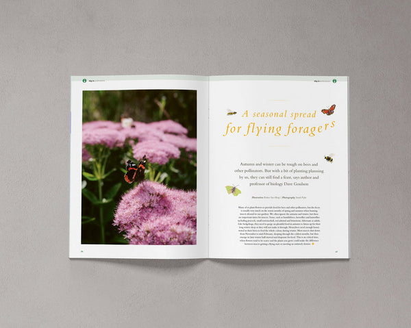 Bloom Magazine Issue Ten open to a feature about seasonal foraging for bees and other pollinators, with pink flowers and butterflies