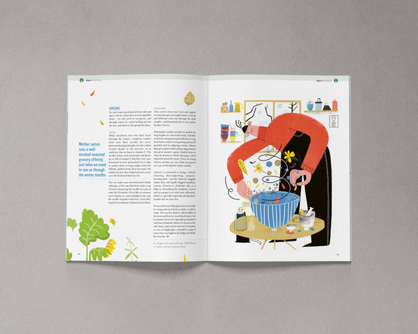 Bloom Magazine Issue Ten open to an illustrated feature about gardening and caring for plants, with colourful botanical illustrations