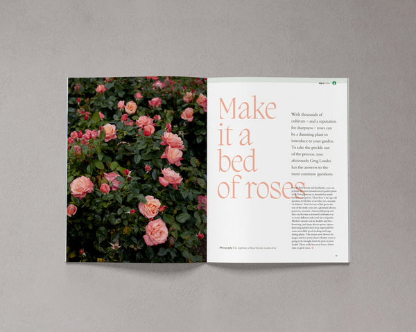 Bloom Magazine Issue Ten open to a feature about growing roses, with a photograph of pink roses and gardening advice