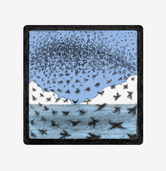‘Starling Murmurations’ is part of the ‘Brighton Icons’ collection. A series of limited edition art prints numbered 1 to 75 signed by the artist Malcolm Trollope-Davis and produced as an A3 giclee print. Most winter evenings before dusk hundreds of thousands of starlings return from across the Sussex countryside, including the downs around Brighton & Hove, to roost on the Brighton piers.