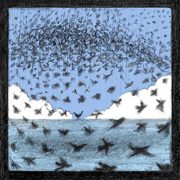 ‘Starling Murmurations’ is part of the ‘Brighton Icons’ collection. A series of limited edition art prints numbered 1 to 75 signed by the artist Malcolm Trollope-Davis and produced as an A3 giclee print.  Most winter evenings before dusk hundreds of thousands of starlings return from across the Sussex countryside, including the downs around Brighton & Hove, to roost on the Brighton piers. 