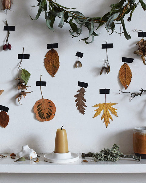 English beeswax Stubby candle displayed with dried leaves and natural objects