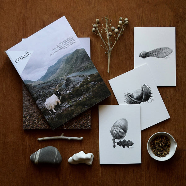 This set of botanical inspired greeting cards features three of the original pencil drawings from the 'Technature' range; 'Acorn', 'Sycamore Seed' and 'Horse Chestnut' by Malcolm Trollope Davis.