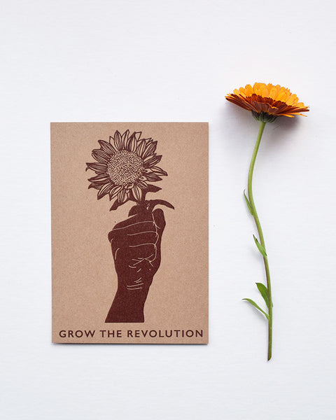 A beautiful set of postcards featuring mini prints hand carved from original linocut and woodcut prints by Rosanna Morris. The postcard designs include 'Diversity', 'Sunflower', 'The Revolution is Fertile' and 'Grow Food Grow Community'. 