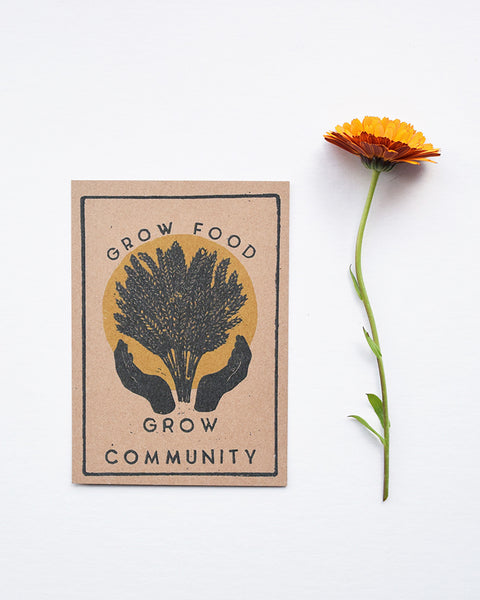 A beautiful set of postcards featuring mini prints hand carved from original linocut and woodcut prints by Rosanna Morris. The postcard designs include 'Diversity', 'Sunflower', 'The Revolution is Fertile' and 'Grow Food Grow Community'. 