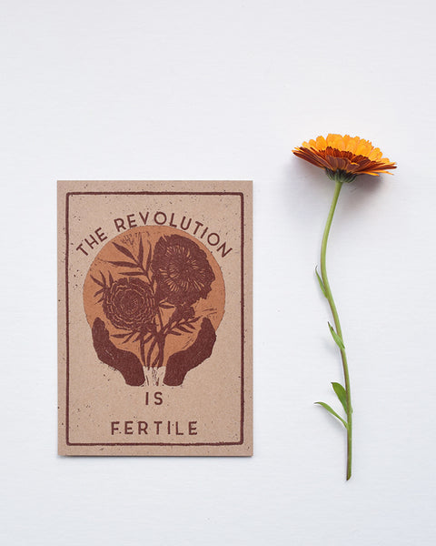 A beautiful set of postcards featuring mini prints hand carved from original linocut and woodcut prints by Rosanna Morris. The postcard designs include 'Diversity', 'Sunflower', 'The Revolution is Fertile' and 'Grow Food Grow Community'. 