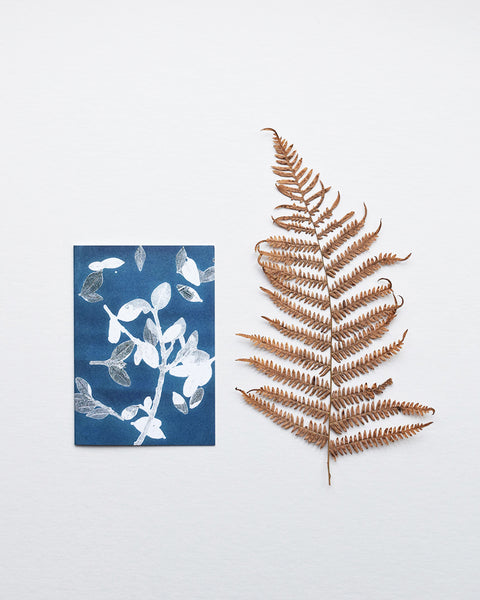 ‘Midnight Garden I I’ by heraldBLACK is a greeting card featuring one of the original monoprints from the 'Midnight Garden' range. 
