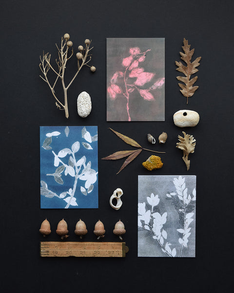 ‘Midnight Garden I I’ by heraldBLACK is a greeting card featuring one of the original monoprints from the 'Midnight Garden' range. 