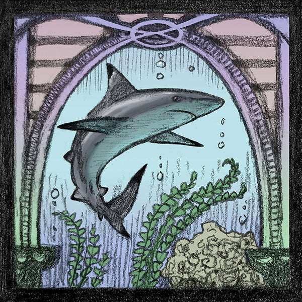 Close-up of Malcolm Trollope-Davis's hand-drawn Sea Life Centre illustration featuring a shark