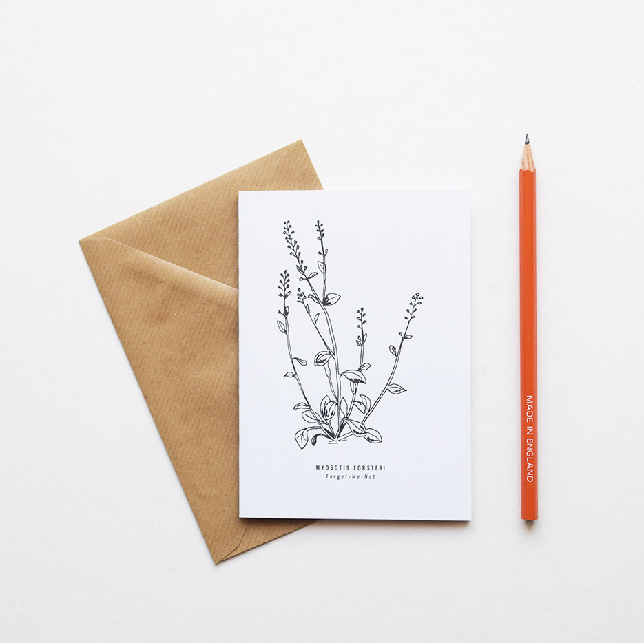 Greeting cards inspired by Victorian botanical illustrations and vintage apothecary style | This beautiful Forget-Me-Not drawing is one of a set of eight greeting card designs. It is printed on a crisp white background and comes with a craft envelope.