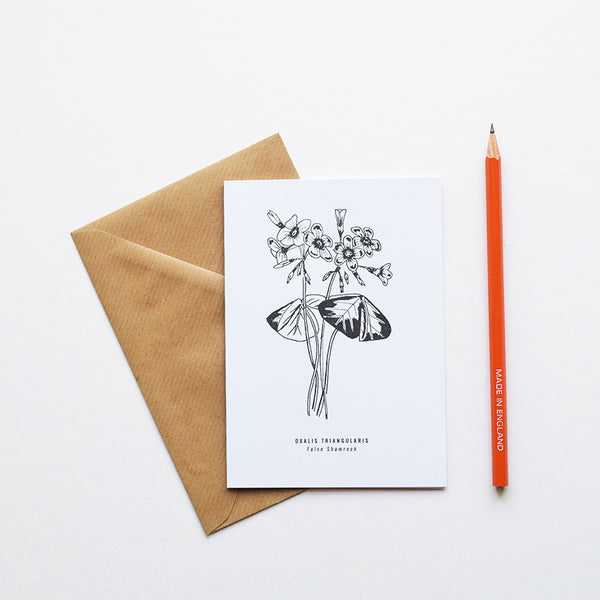 Greeting cards inspired by Victorian botanical illustrations and vintage apothecary style | This beautiful False Shamrock drawing is one of a set of eight greeting card designs by Alfie's Studio. It is printed on a crisp white background and comes with a craft envelope.