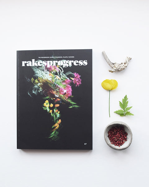 Rakesprogress is one of the most creative, innovative and beautiful gardening magazines in the UK. Issue 7 is now available from Lewes Map Store. Rakesprogress, the progressive guide to gardens, plants, flowers and people.