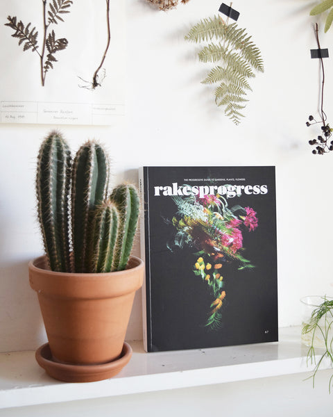 Rakesprogress is one of the most creative, innovative and beautiful gardening magazines in the UK. Issue 7 is now available from Lewes Map Store. Rakesprogress, the progressive guide to gardens, plants, flowers and people.