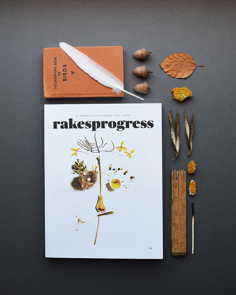 Rakesprogress is one of the most creative, innovative and beautiful gardening magazines in the UK. Issue 8 is now available from Lewes Map Store. Rakesprogress, the progressive guide to gardens, plants, flowers and people.